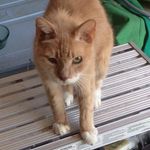 Max Whitmore - @max_is_cat - Instagram
