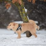 Max Herr Wiener - @max.herr.wiener - Instagram