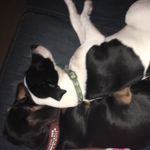max&wiener - @maxandwiener360 - Instagram