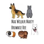 Max Wilbur Marty Brownie Bee - @max_wilbur_marty_brownie_bee - Instagram