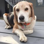 Max Wilcox - @maxgwilcox - Instagram