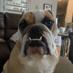 Max wildman - @usermax74 - Instagram
