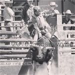 Max Wiles - @mr.maxwiles - Instagram