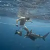Maxwilkinson046 - @maxwilkinson046 - TikTok
