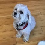 Max Willard - @the_max_willard - Instagram