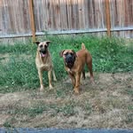 Max Willard - @max.willard.7355 - Instagram