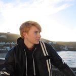 Max Willis - @max_willis - Instagram