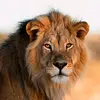 Max Willock241 - @meantop389 - TikTok