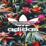 Max Willoughby - @willoughbymax_19 - Instagram