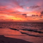 Max Willoughby - @maxwilloughby06 - Instagram
