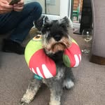 Max Willoughby - @willoughby98 - Instagram