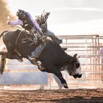 max willoughby - @mwill7998 - Instagram