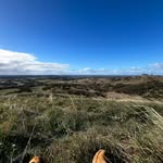 Max Wills - @mwi11s - Instagram
