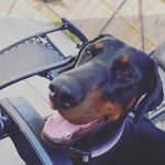 Max Wilmott - @max_wilmott07 - Instagram