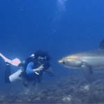 Max Wimmer - @maxdiving_oki - Instagram