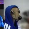 maxwiner0 - @maxwiner0 - TikTok