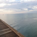 Max Winfield - @max.winfield.7946 - Instagram