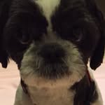Maximus De Winfield - @max_winfield_01 - Instagram