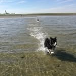 Max Wippermann - @max.wippermann - Instagram