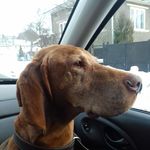 Max - @the_wise_max - Instagram