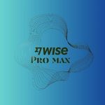 Wise_Pro_max - @wise_pro_max - Instagram