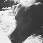 Max wiser - @maximilian4513 - Instagram