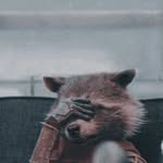 Max Wiśniewski - @wayne_collector - Instagram