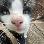 Max wisniewski - @monki_max0 - Instagram