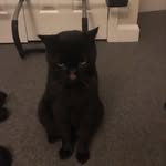 Max Withers - @max.withers2 - Instagram