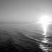 Maxwell Withrow - Facebook