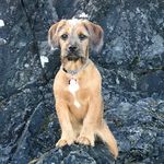 Max - @_max_wolfe_ - Instagram