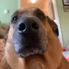 Max Woods - @maximum._.cuteness - TikTok