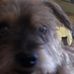 Max Wrightson - Facebook