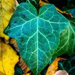 Max Wulf - @maxwulf8 - Instagram