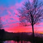 Max Wulff - @max_wulff1 - Instagram