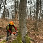 Max Wulff - @max___wulff - Instagram