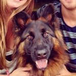 Max Yates - @max_yates_gsd - Instagram
