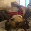 Max - @max.ybarra04 - TikTok
