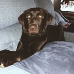 Max - @max_yeagerr - Instagram