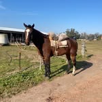 Maxi López - @maximiliano_lopez02 - Instagram