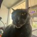 Maggie Altman - Facebook