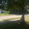 max.v.davis - @max.v.davis - TikTok