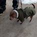 Maxie Jackson - Facebook