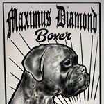 Maximus Diamond Boxer - @maximus_diamond_boxer - Instagram
