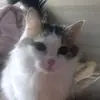 maximstark1 - @maximstark1 - TikTok