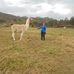 Maxima Mendoza Ramos - Facebook