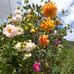 Maxima Ramos - Facebook