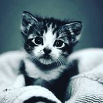 maxime pachot - @mpachot - Instagram