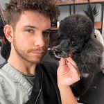 By Maximilian | Hundefriseur | Hunde Content - @maximilianshundestuebchen - Instagram