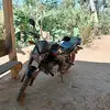 Maximiliano Chen - @maximiliano.chen4 - TikTok